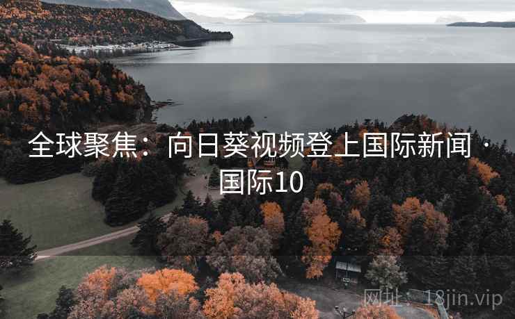 全球聚焦:向日葵视频登上国际新闻 · 国际10